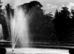 The Fountain by Elaine Cox.jpg