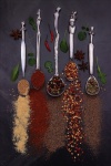Spicess & Spoons_Lynne Seldon.jpg