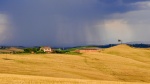 Shower in Tuscany by Michael Ford.jpg