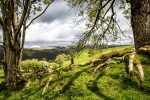 Mid Wales vista by Dave Murphy.jpg