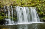 Waterfall in Spring by Ian Bone.jpg