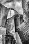 Shapes of the Guggenheim Bilbao by Rosemary Harris.jpg