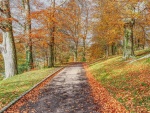 Autumn Walks by Linda Webb.jpg