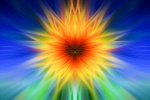 Sunflower Twirl by Lindsey Willetts.jpg