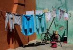 Washing by Melinda Rawlings.jpg
