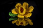 Felted Wool Daffodil by Lindsey Willetts.jpg